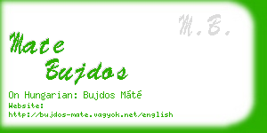 mate bujdos business card