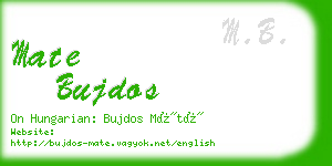 mate bujdos business card